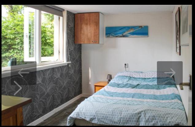 Bos Bungalow Zonnetje 93 Zelhem Extérieur photo