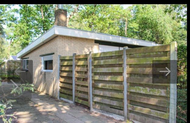 Bos Bungalow Zonnetje 93 Zelhem Extérieur photo