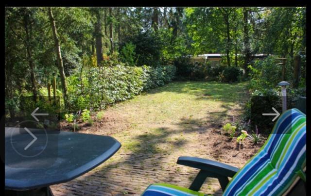 Bos Bungalow Zonnetje 93 Zelhem Extérieur photo