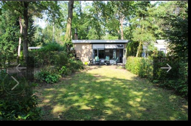 Bos Bungalow Zonnetje 93 Zelhem Extérieur photo