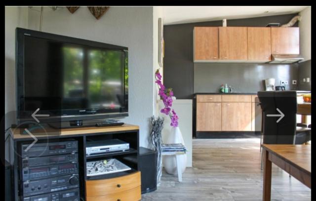 Bos Bungalow Zonnetje 93 Zelhem Extérieur photo